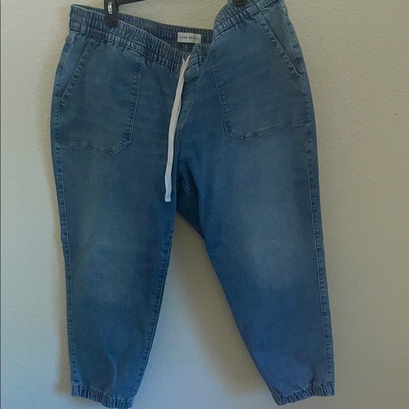 Lane Bryant Blue Denim Jogger Pants - Picture 1 of 1